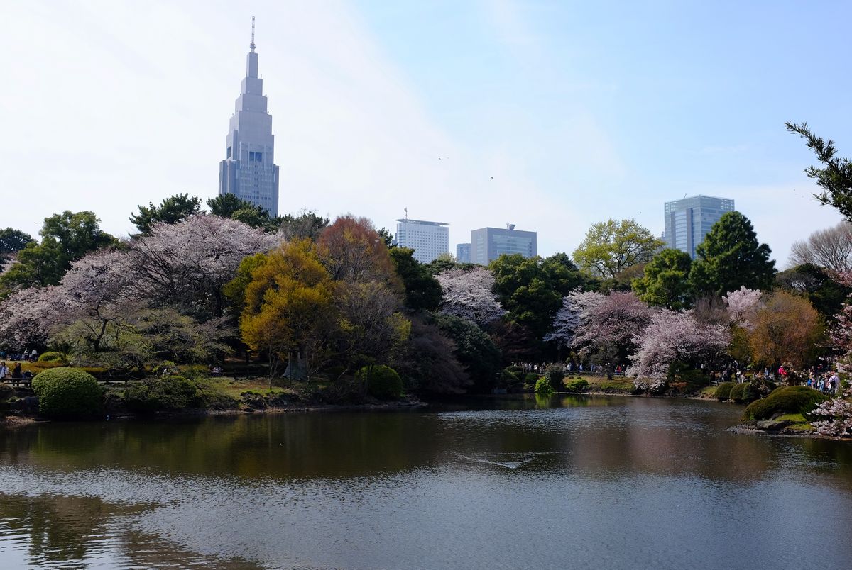 Tokyo in 2017, feel like ages ago…