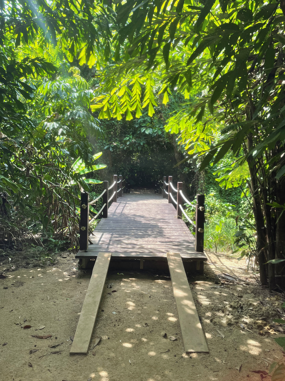 Similan Islands, Phang-nga